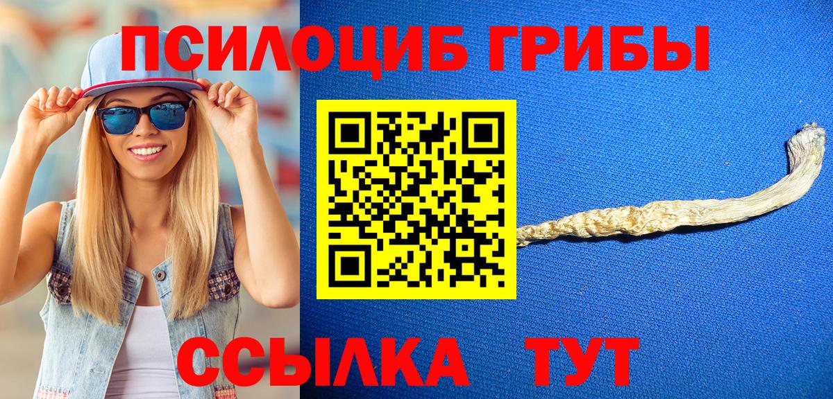 Галлюциногенные грибы прущие грибы  Вход с VPN  Тула 